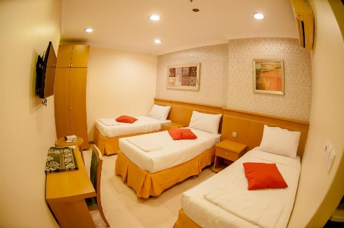 Sadan Plaza Hotel image 1