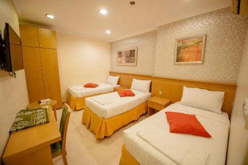 Sadan Plaza Hotel image 3